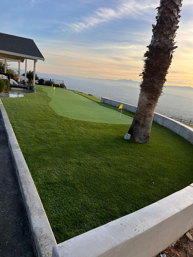 Bay area turf gallery